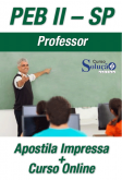 Curso Online + Apostila Professor PEB ll SEDUC-SP 2013